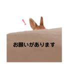 ぼくの名前はずんだ（個別スタンプ：4）