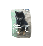 むさ君（個別スタンプ：4）