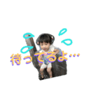 りんのお言葉（個別スタンプ：7）