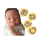 はーくんすたんぷ★（個別スタンプ：7）