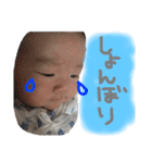 はーくんすたんぷ★（個別スタンプ：25）