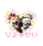 はーくんすたんぷ★（個別スタンプ：38）