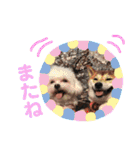 はーくんすたんぷ★（個別スタンプ：39）