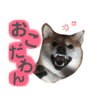 はーくんすたんぷ★（個別スタンプ：40）