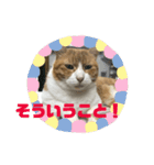 ミド先生（個別スタンプ：3）