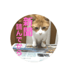 ミド先生（個別スタンプ：4）