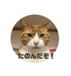 ミド先生（個別スタンプ：5）