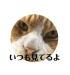 ミド先生（個別スタンプ：6）