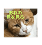 ミド先生（個別スタンプ：7）