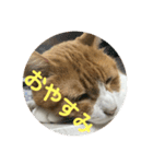 ミド先生（個別スタンプ：10）