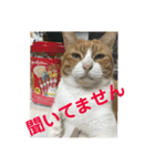 ミド先生（個別スタンプ：11）