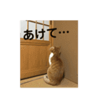 ミド先生（個別スタンプ：14）