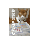 ミド先生（個別スタンプ：15）