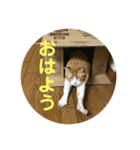 ミド先生（個別スタンプ：16）