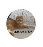 まんちかんのレオくんです（個別スタンプ：5）