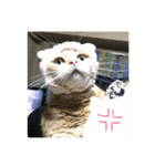 まんちかんのレオくんです（個別スタンプ：7）