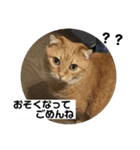 まんちかんのレオくんです（個別スタンプ：13）