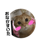 まんちかんのレオくんです（個別スタンプ：16）