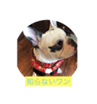 フレブル  こはるちゃん（個別スタンプ：2）