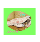 アズ＆クロの日常✨（個別スタンプ：2）