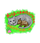 つきねこ 猫ver. 秋冬 日常（個別スタンプ：14）
