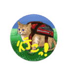 つきねこ 猫ver. 秋冬 日常（個別スタンプ：18）