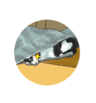つきねこ 猫ver. 秋冬 日常（個別スタンプ：29）