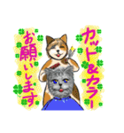 つきねこ 猫ver. 秋冬 日常（個別スタンプ：39）