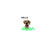 家族犬のスタンプ（個別スタンプ：3）