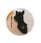 家族犬のスタンプ（個別スタンプ：22）