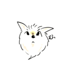 裏の支配犬 ぽめぽめ（個別スタンプ：3）