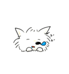 裏の支配犬 ぽめぽめ（個別スタンプ：4）