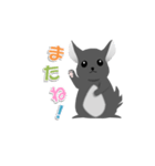わがやのちんちら（個別スタンプ：6）