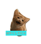 子猫のラテ君（個別スタンプ：2）