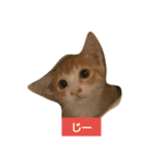 子猫のラテ君（個別スタンプ：4）