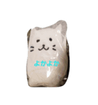 なかよし ねこさん時々くま（個別スタンプ：7）