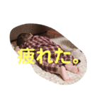 まなたん#（個別スタンプ：8）
