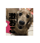 にゃわぁん（個別スタンプ：18）