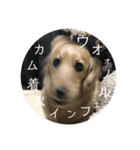 にゃわぁん（個別スタンプ：19）