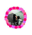 志スタンプ（個別スタンプ：3）