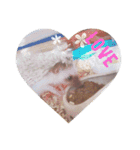 我が家のハリネズミ（個別スタンプ：4）