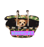 すずと仲間たち（個別スタンプ：1）