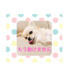 すずと仲間たち（個別スタンプ：4）