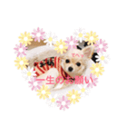 すずと仲間たち（個別スタンプ：5）