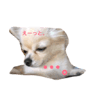すずと仲間たち（個別スタンプ：8）