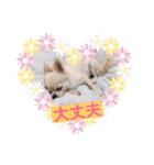 すずと仲間たち（個別スタンプ：10）