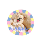 すずと仲間たち（個別スタンプ：12）
