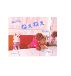 すずと仲間たち（個別スタンプ：15）