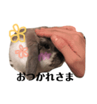 うさぎの円とポム（個別スタンプ：2）