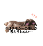 うさぎの円とポム（個別スタンプ：13）